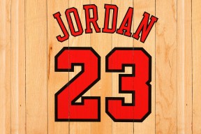 九游jiuyou-世界杯神级扑救：门将的关键时刻救场，世界杯守门员扑球视频