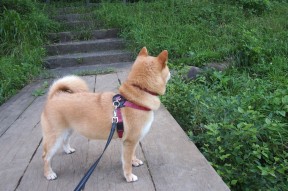 九游娱乐APP-明星运动员积极参与社会公益，运动员明星化利大于弊