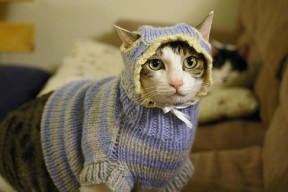 -林丹为青少年比赛担任解说嘉宾，林丹大赛