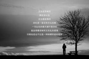 JIUYOU.COM-德国队在2024年国际乒乓赛场的表现与自信，2020德国乒乓球公开赛视频