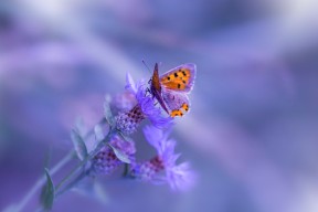 九游娱乐中心-世界杯预选赛中国青年队逆袭 球员拼劲十足，世界杯预选赛 中国队出线分析