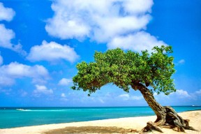 JiuyouAPP下载-奥斯马尔·奥尔韦拉表现稳健勇夺好成绩，奥维马斯马尔蒂尼