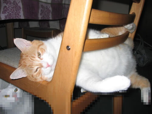 CBA球队推广先进训练理念融合实战演练,cba宣传