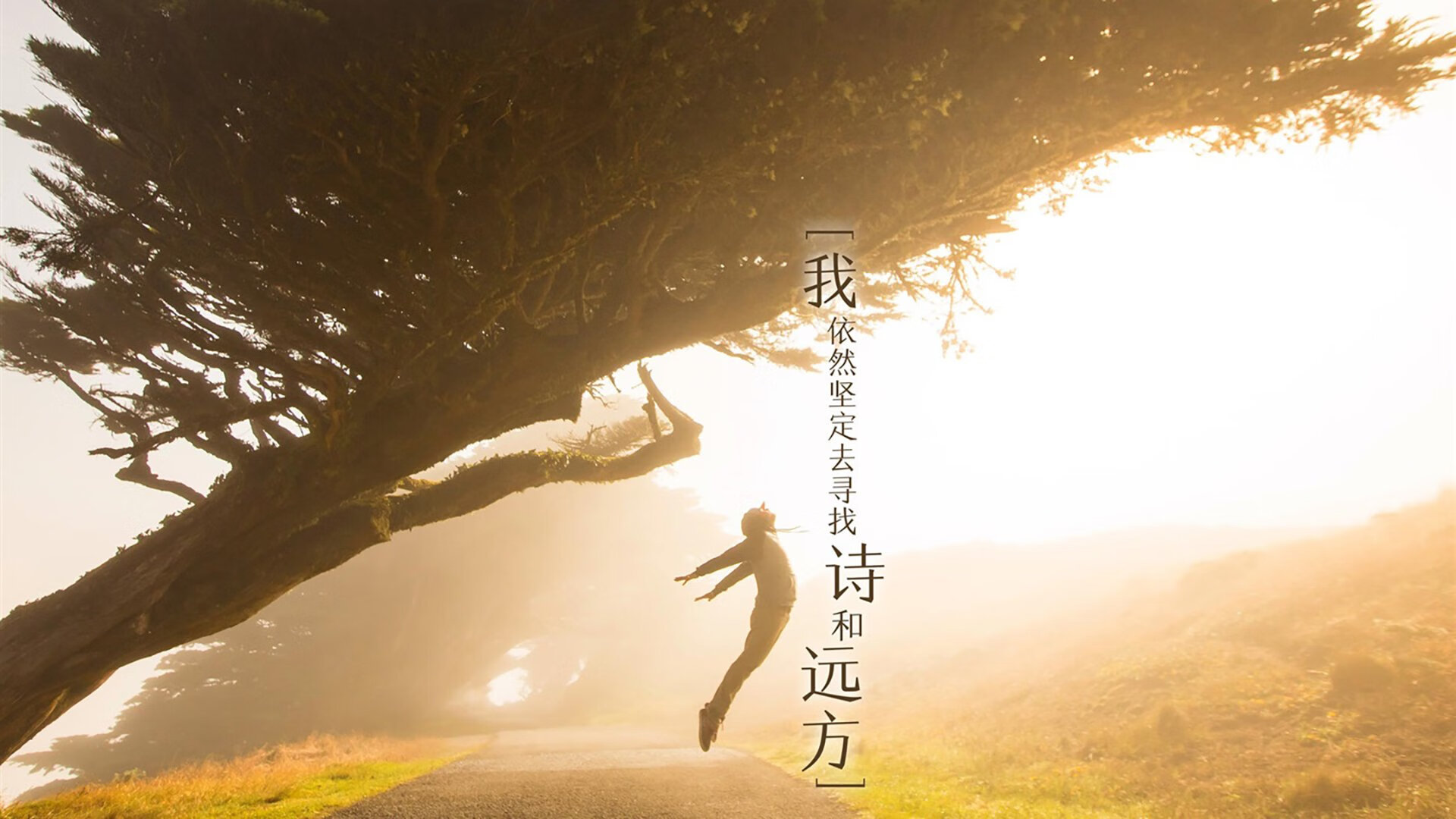 “沙滩赛场迎来高水平对决,手球与合球同台竞技”