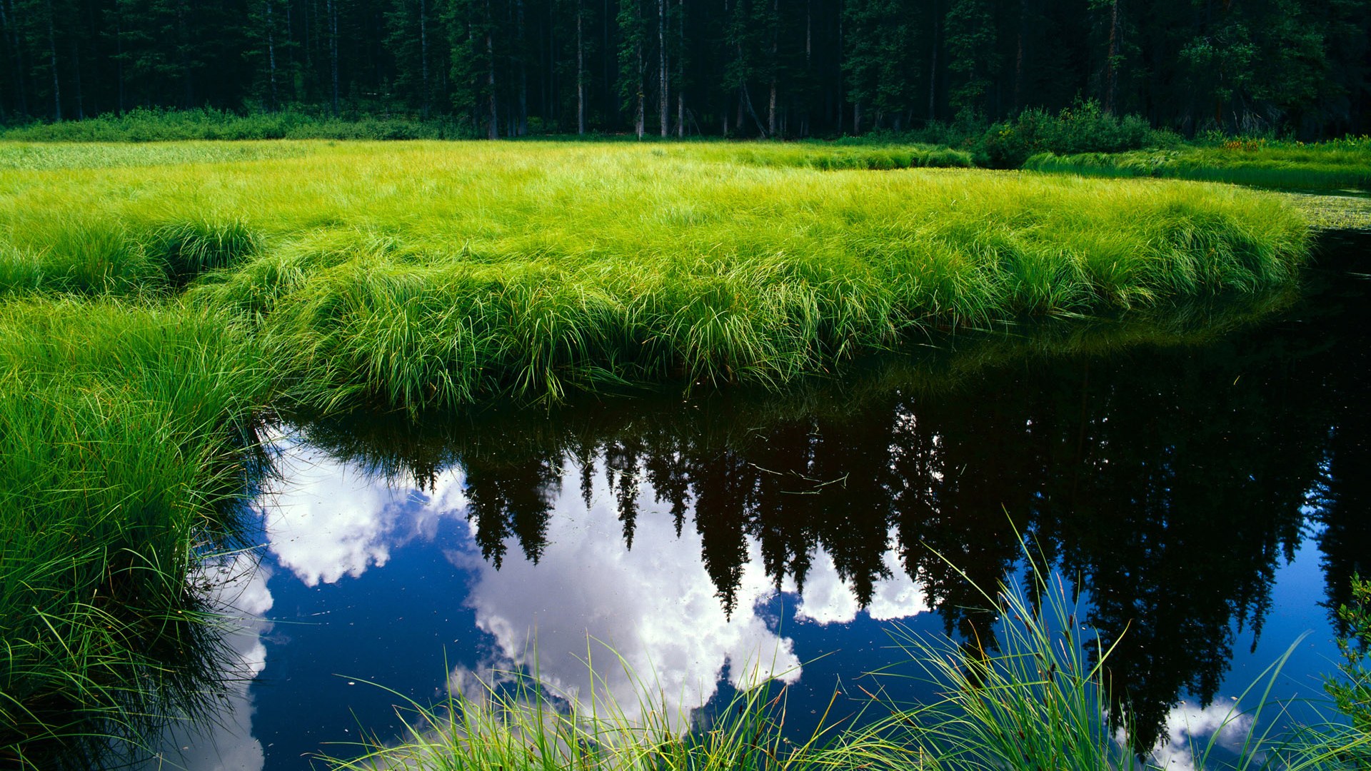 中国男篮战术执行精准 提升整体战斗力,中国男篮怎样才能崛起