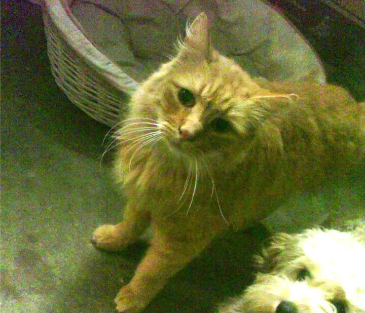 中超联赛中国青年队战败 球迷讨论青训体系,中超球队各队青训的情况