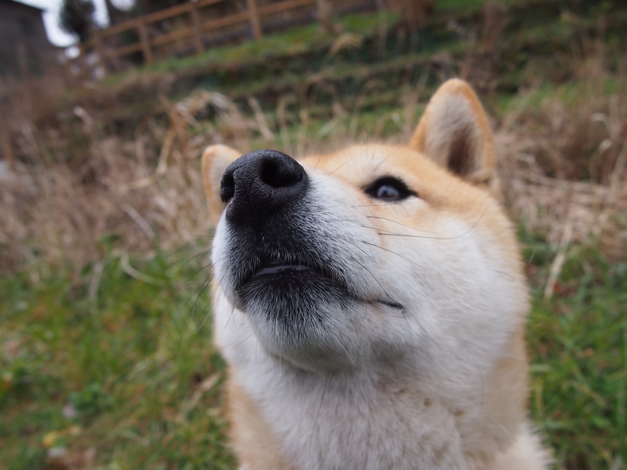 裁判培训系统升级提高判罚一致性成重点,裁判系统测评
