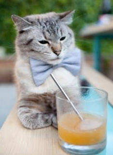 裁判培训系统升级提高判罚一致性成重点,裁判系统测评