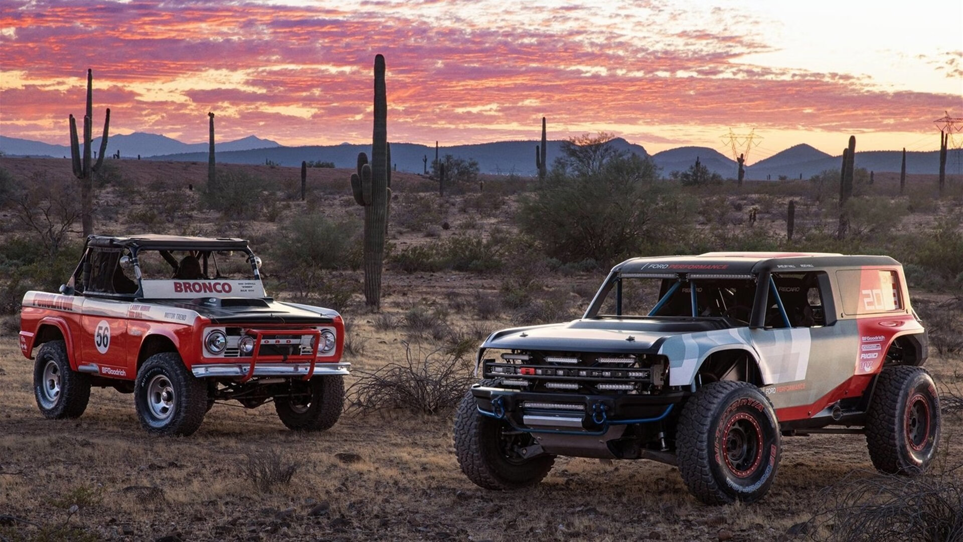 体育公益项目影响力持续扩大,体育公益组织