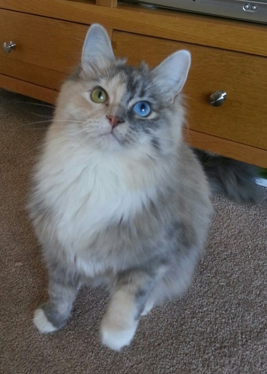 哈斯克赛后感谢团队支持,哈斯克赛后感谢团队支持的话语