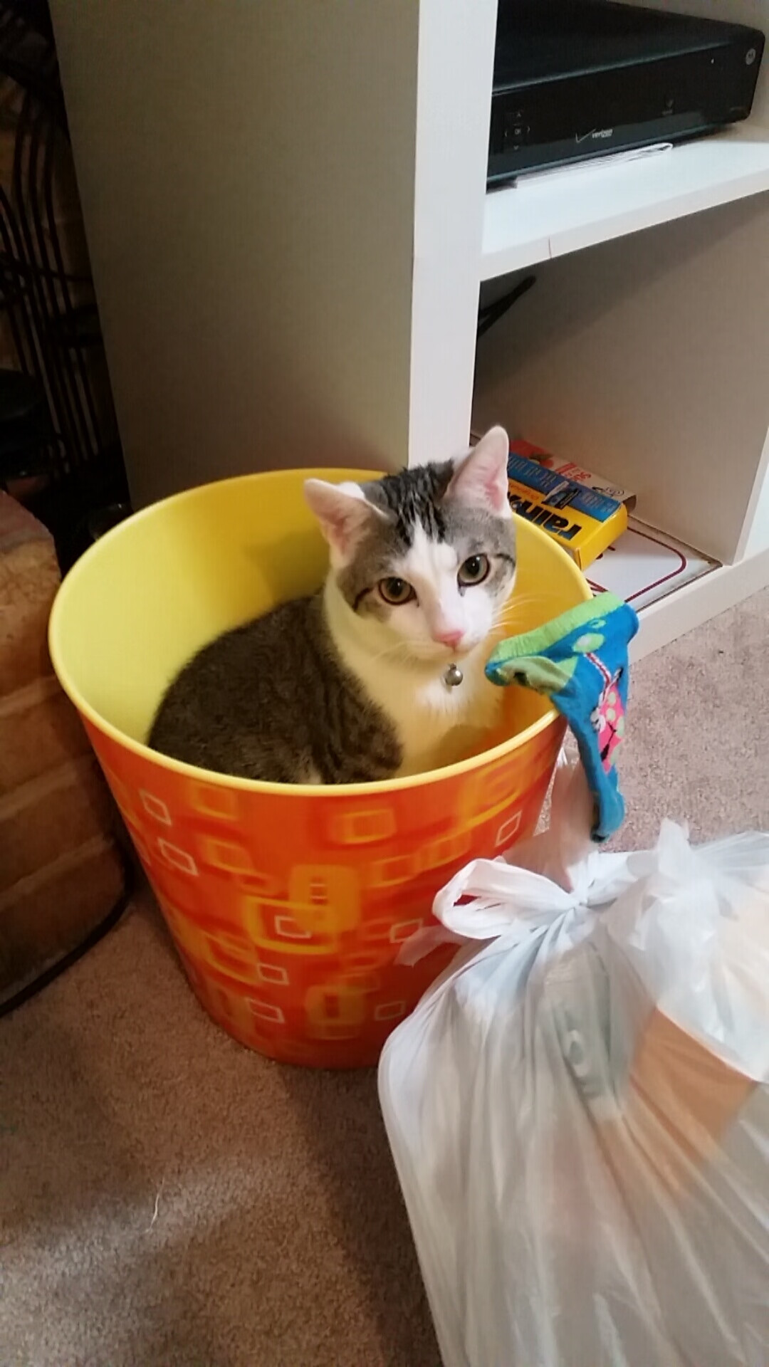 塔图姆谈自律训练是提高效率的重要方式,塔图姆健身