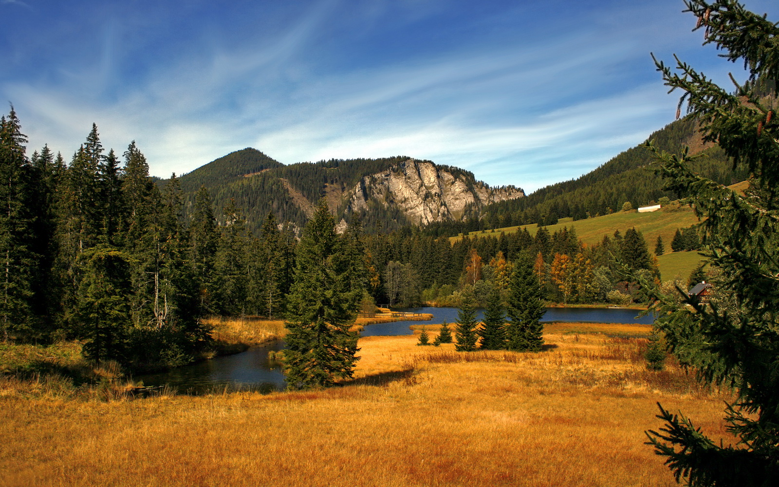奥斯马尔·奥尔韦拉表现稳健勇夺好成绩,奥维马斯马尔蒂尼