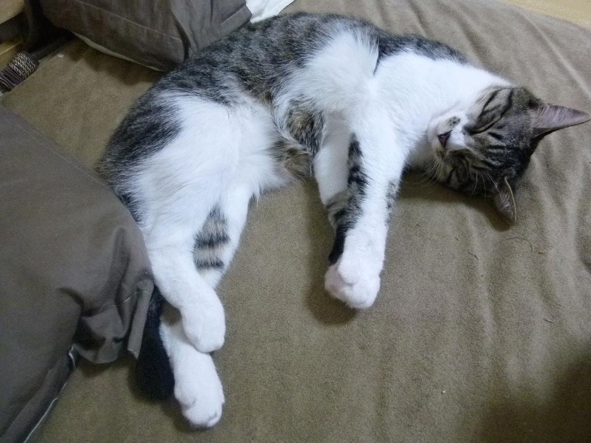 女篮设立团队协作积分系统促进整体竞争氛围,女篮分组积分