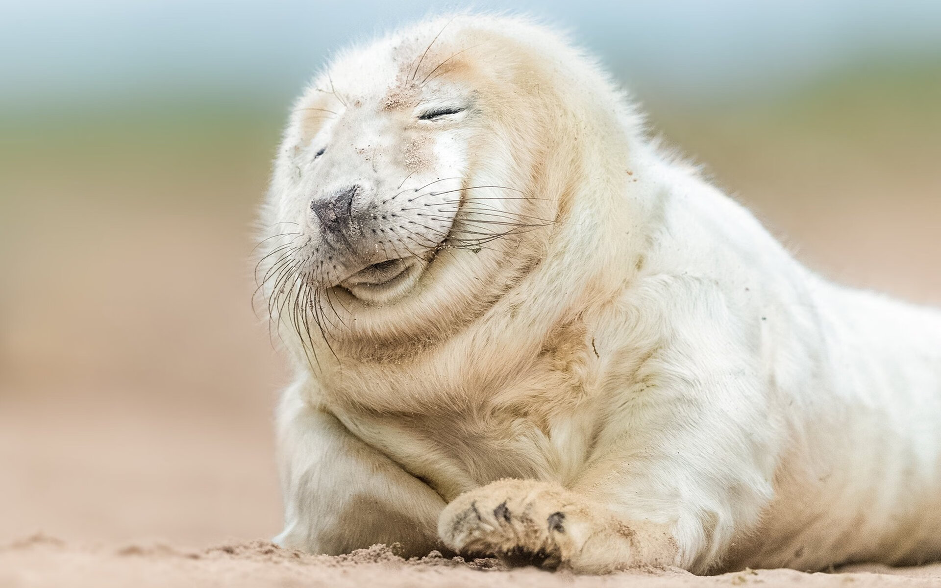 张雨霏蝶泳爆发力十足,张雨霏200蝶泳视频