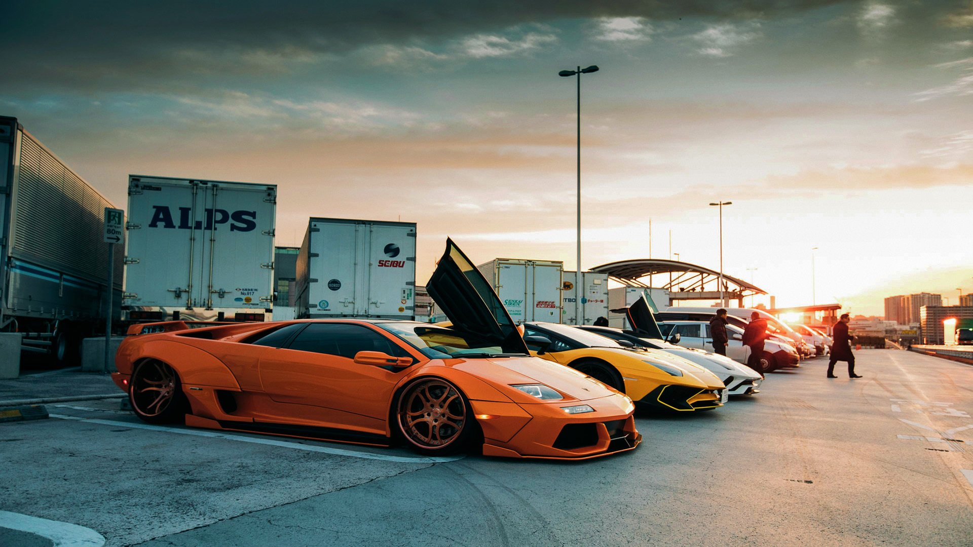 澳大利亚传奇麦克沃伊再攀高峰,澳大利亚麦克布莱德